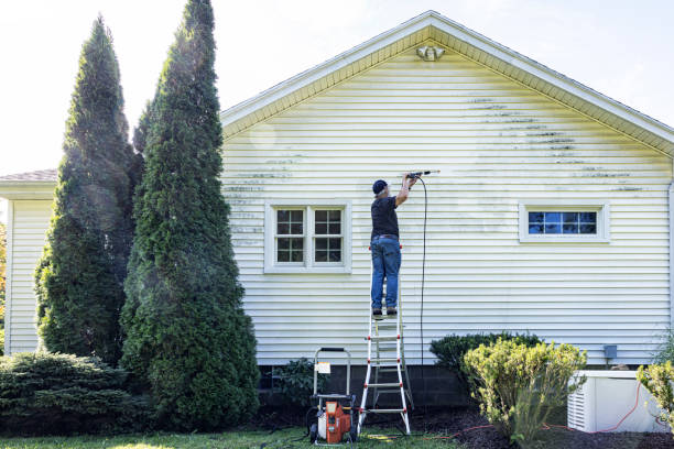 Best Restaurant Pressure Washing  in Braska City, NE
